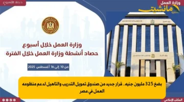 بضخ 325 مليون جنيه.. قرار جديد من صندوق تمويل التدريب والتأهيل لدعم منظومة العمل في مصر